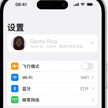 三家镇appleID维修服务iPhone设置中Apple ID显示为灰色无法使用 