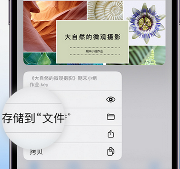 三家镇apple维修中心分享iPhone文件应用中存储和找到下载文件