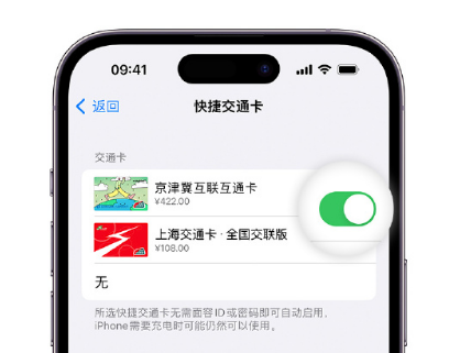 三家镇apple维修点分享iPhone上更换Apple Pay快捷交通卡手绘卡面 