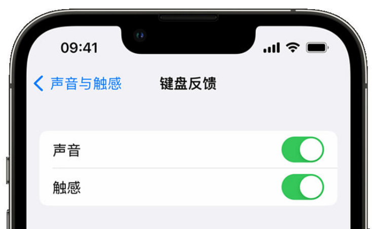 三家镇苹果手机维修分享iPhone 14触感键盘使用方法 