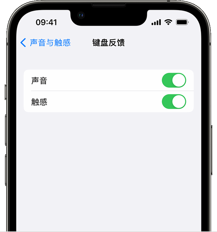 三家镇苹果14维修店分享如何在 iPhone 14 机型中使用触感键盘 