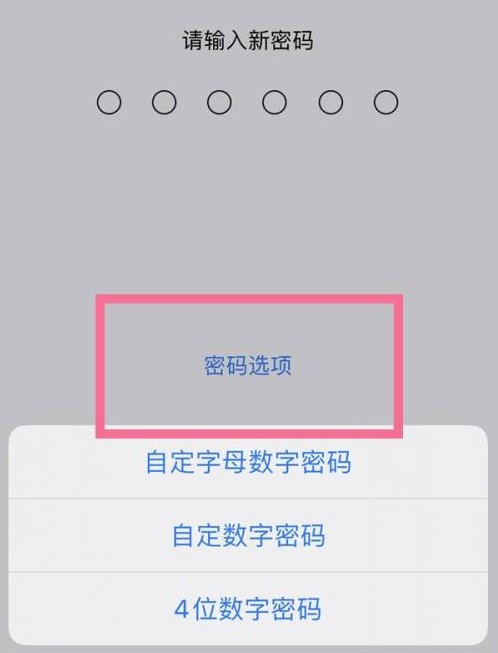 三家镇苹果14维修分享iPhone 14plus设置密码的方法 